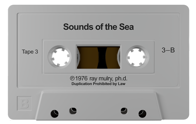 3D model of 1976 Relaxation Therapy cassette labeled Sounds of the Sea by Dr. Ray Mulry, guided meditation with ocean wave sounds.